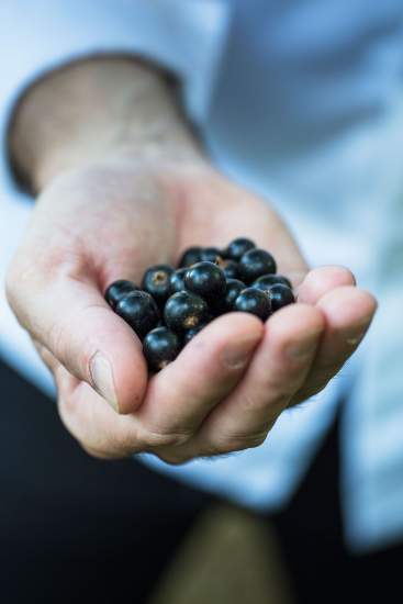 → Cédric Burtin · Restaurant gastronomique Chalon-sur-Saône