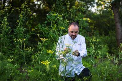 → Cédric Burtin · Restaurant gastronomique Chalon-sur-Saône- Cédric Burtin